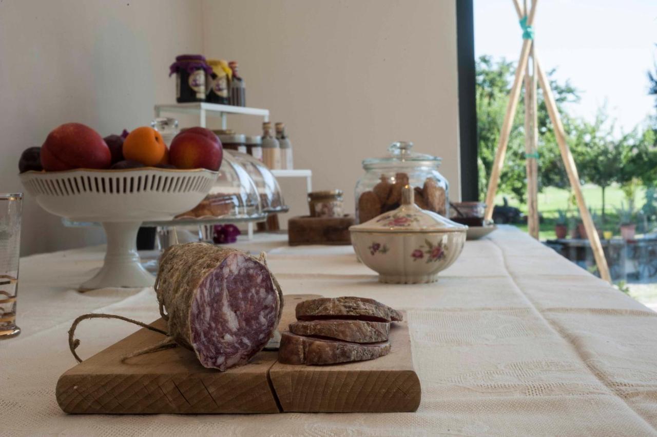 Le Ferrerie Agriturismo Fattoria Marchesini Praticello di Gattatico Екстер'єр фото